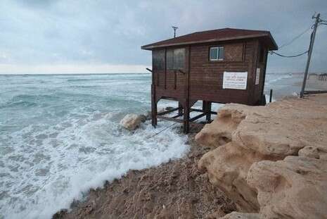 צילום: רענן כהן צילום: רענן כהן