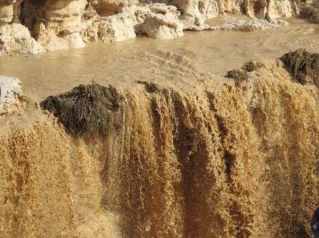צילום: בוירסקי אבנר צילום: בוירסקי אבנר