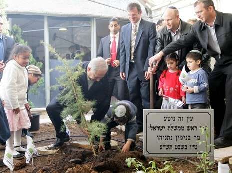 צילום: פלאש 90 צילום: פלאש 90