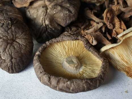 �����: ���� ����