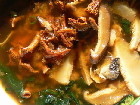 �����: ���� ����