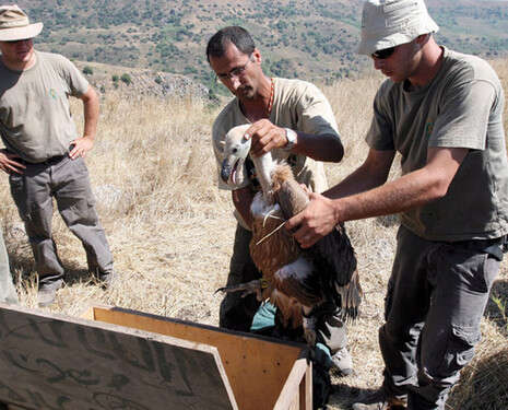 צילום: דרור ארצי צילום: דרור ארצי