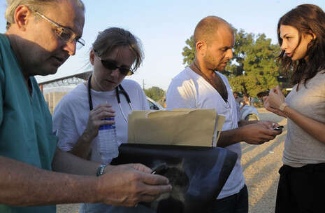 צילום: יחסי ציבור צילום: יחסי ציבור