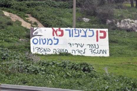 צילום: יגאל לוי צילום: יגאל לוי
