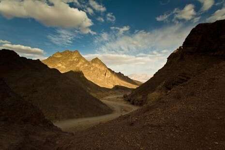 צילום: הלל זוסמן צילום: הלל זוסמן