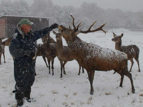צילום: חמד אלמקת צילום: חמד אלמקת