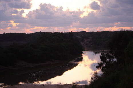 צילום: ברקאי וולפסון צילום: ברקאי וולפסון