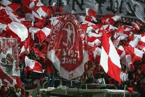 צילום: אלן שיבר צילום: אלן שיבר