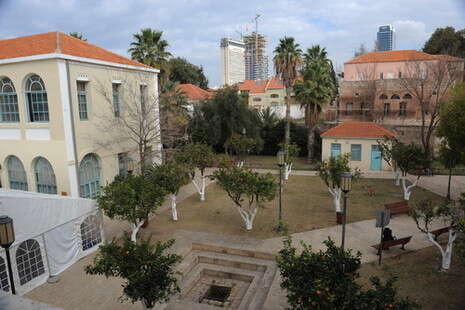 צילום: ראובן קסטרו צילום: ראובן קסטרו
