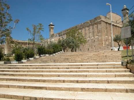 צילום: דוד וילדר צילום: דוד וילדר