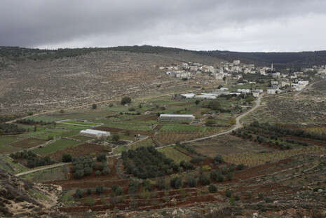 צילום: פלאש 90 צילום: פלאש 90