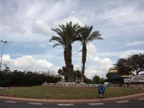 צילום: אלי דסה צילום: אלי דסה