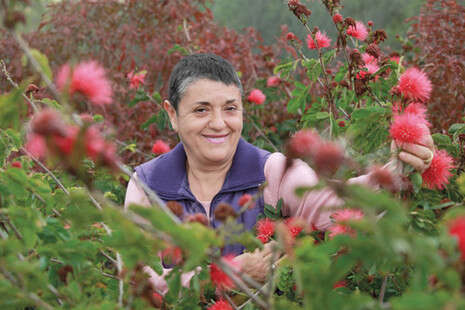 �����: ���� ���