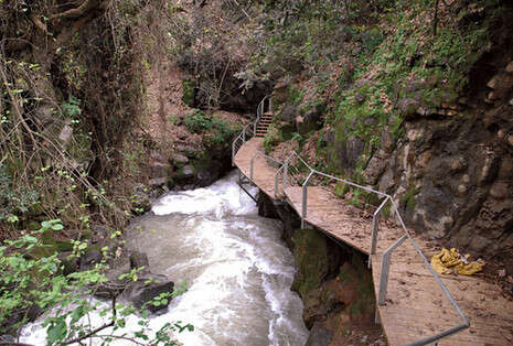 צילום: חמד אלמקת צילום: חמד אלמקת
