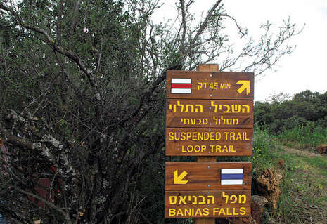 צילום: חמד אלמקת צילום: חמד אלמקת