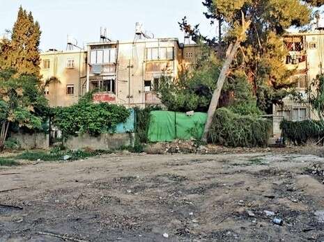 צילום: יהודה לחיאני צילום: יהודה לחיאני