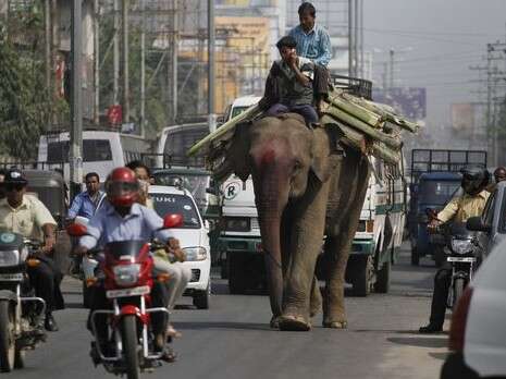 צילום: AP צילום: AP