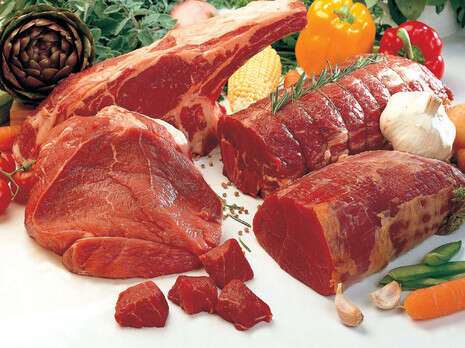 צילום: יחסי ציבור צילום: יחסי ציבור