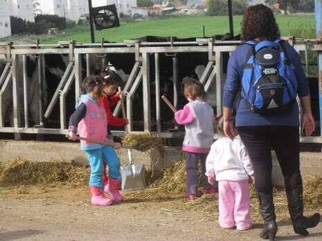 צילום: יח''צ צילום: יח''צ