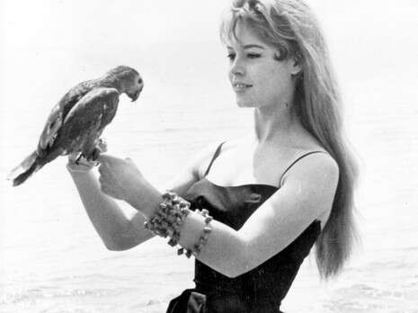 �����: ��� ����'�