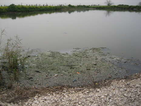 צילום: טל ליברגל צילום: טל ליברגל