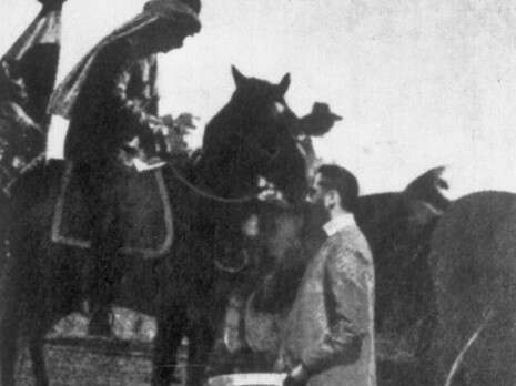 דוד וולפסון דוד וולפסון