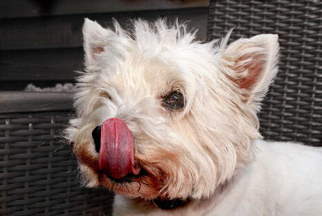 �����: SXC