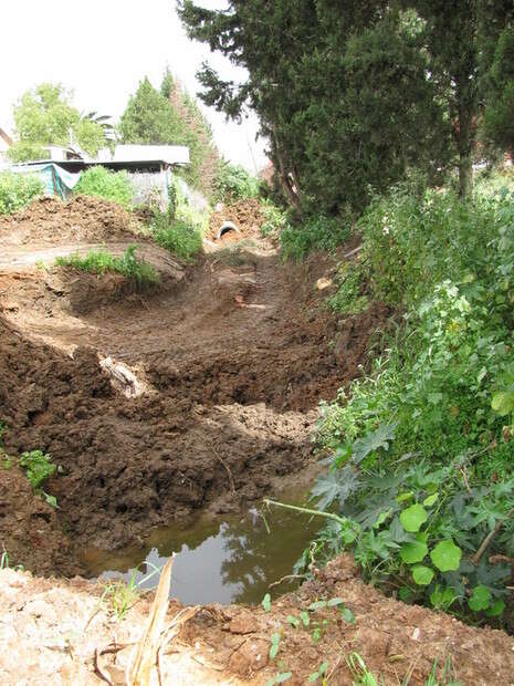 �����: ���� ����