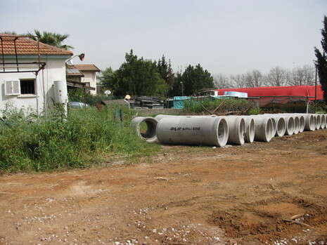 �����: ���� ����