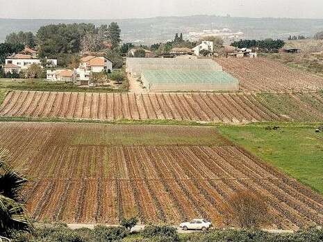צילום: יוסי אלוני צילום: יוסי אלוני