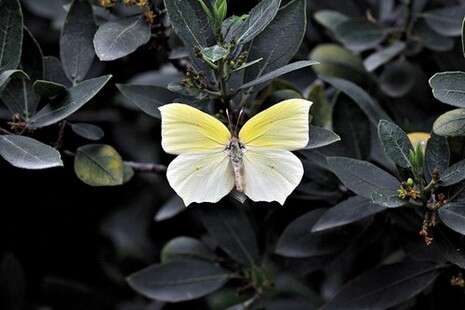 �����: ���� �������, ����� ����� ����