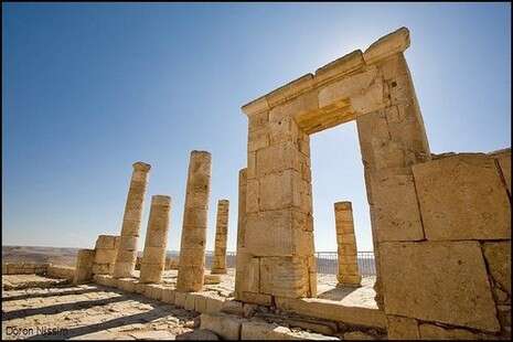 צילום: רשות הטבע והגנים צילום: רשות הטבע והגנים