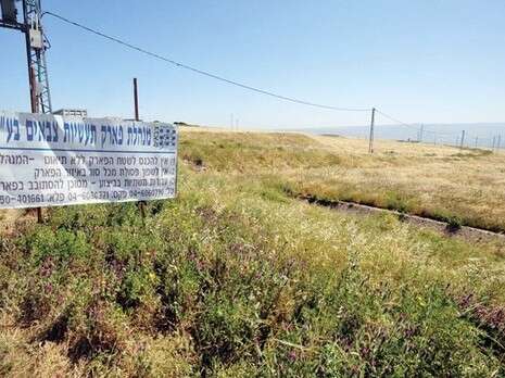 �����: ���� ���