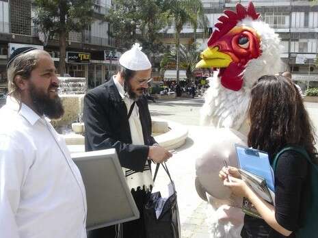 צילום: בר לוי צילום: בר לוי