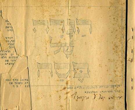 צילום: אלה איתן צילום: אלה איתן