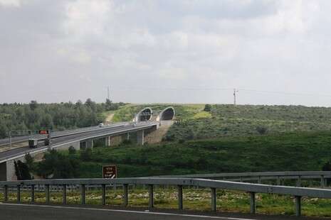 צילום: רותם דותן צילום: רותם דותן