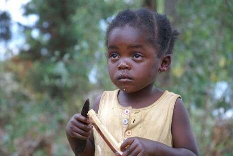 צילום: אקו טיולי שטח צילום: אקו טיולי שטח