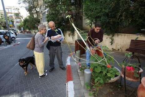 צילום: אריק סולטן צילום: אריק סולטן