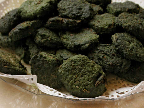 צילום: צביקה מאיר צילום: צביקה מאיר