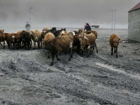 �����: ��-��