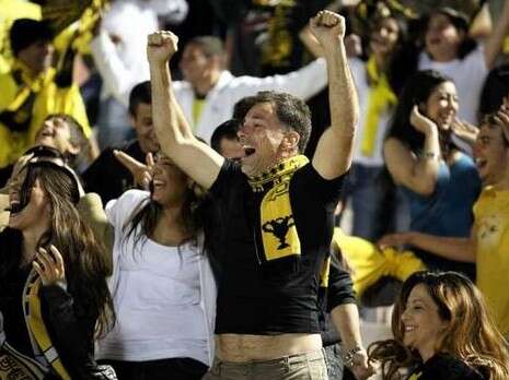 �����: ��� �����