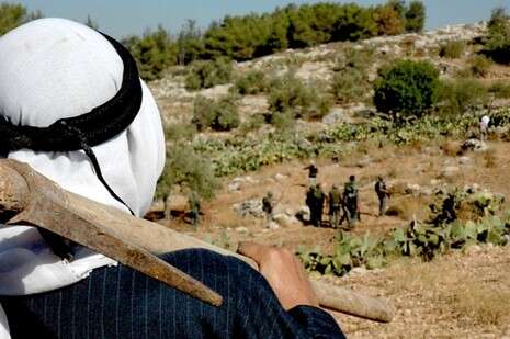 ���� ����