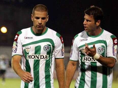 צילום: אלן שיבר צילום: אלן שיבר