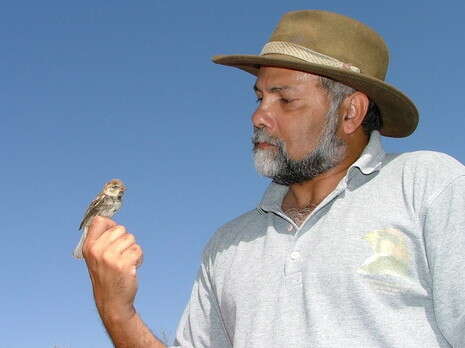 צילום: דובי זכאי צילום: דובי זכאי