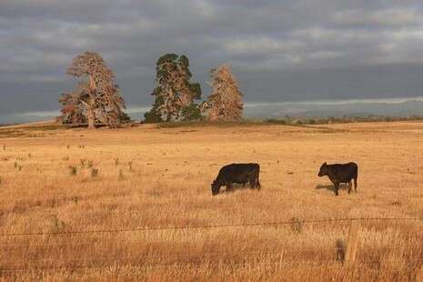 צילום: SXC צילום: SXC