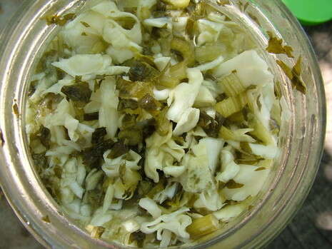 צילום: שחר שילוח צילום: שחר שילוח