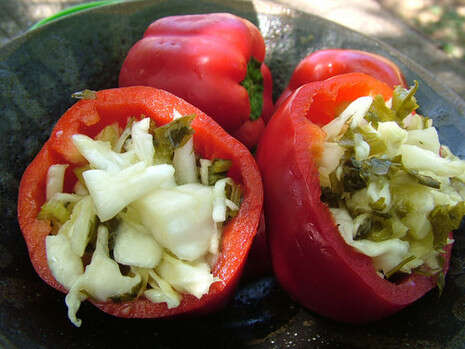 צילום: שחר שילוח צילום: שחר שילוח