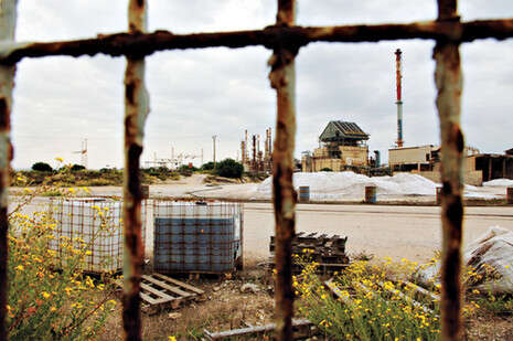 �����: ���� �����