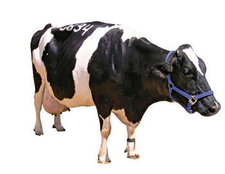 צילום: ערן ארז צילום: ערן ארז