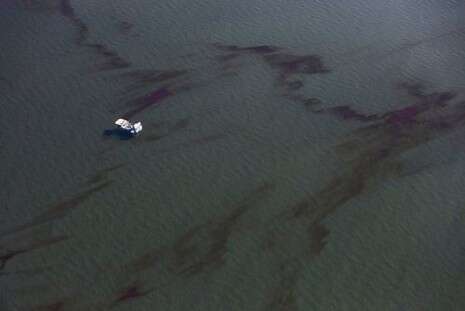 צילום: רויטרס צילום: רויטרס